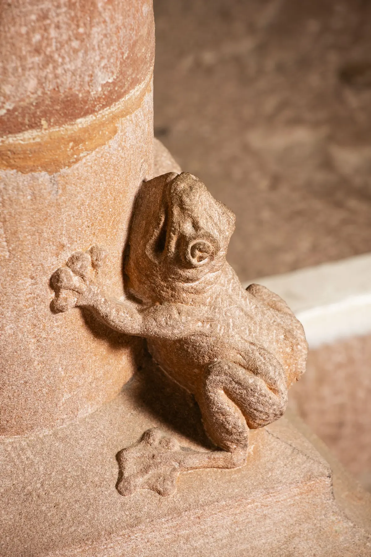 Bébêtes et compagnie