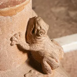 Bébêtes et compagnie