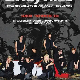 Concert : Stray Kids World Tour  LIVE VIEWING