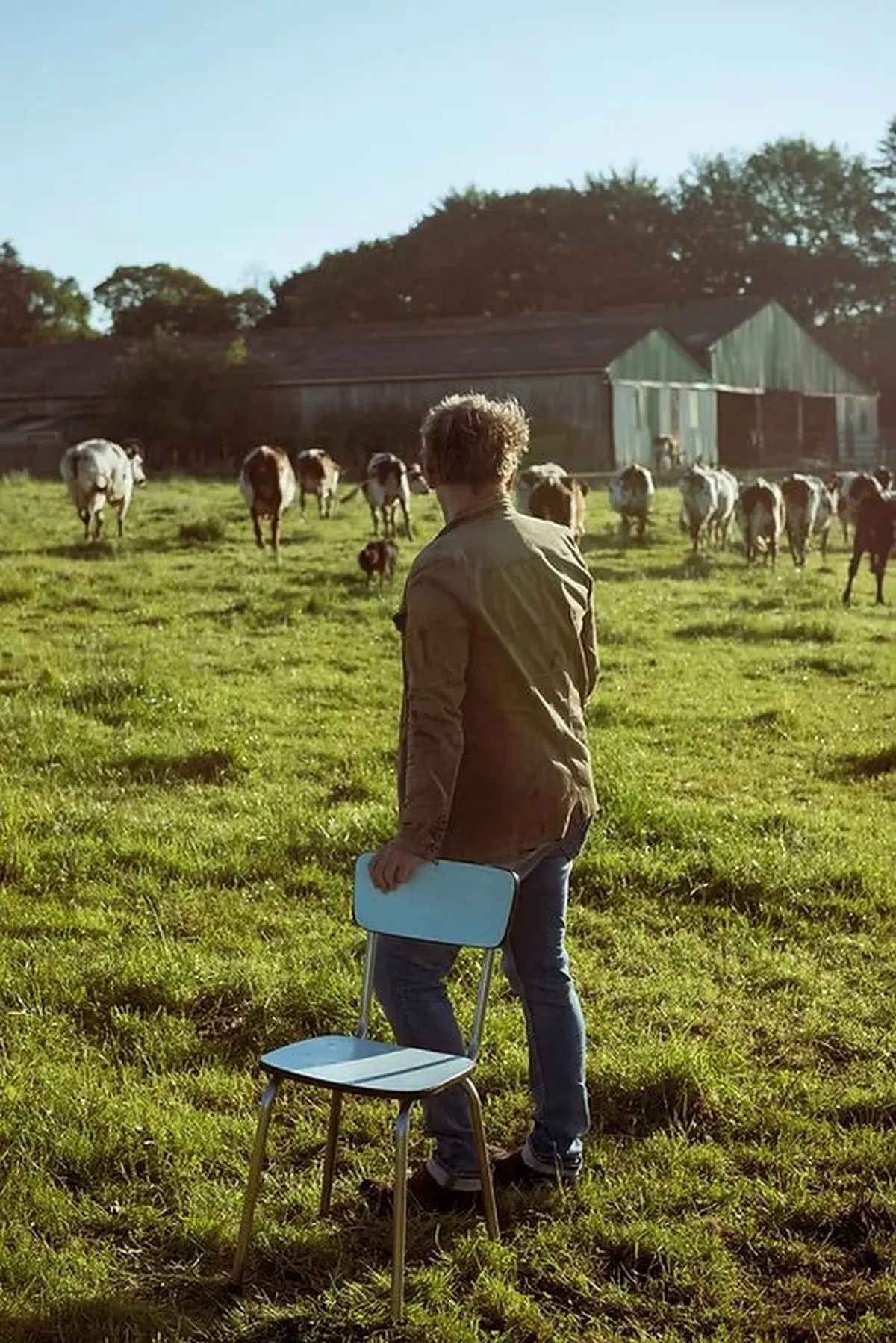 Mon père avait 3 vaches 