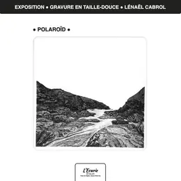 Exposition POLAROÏD | Gravure en Taille-Douce | Cabrol Lénaël