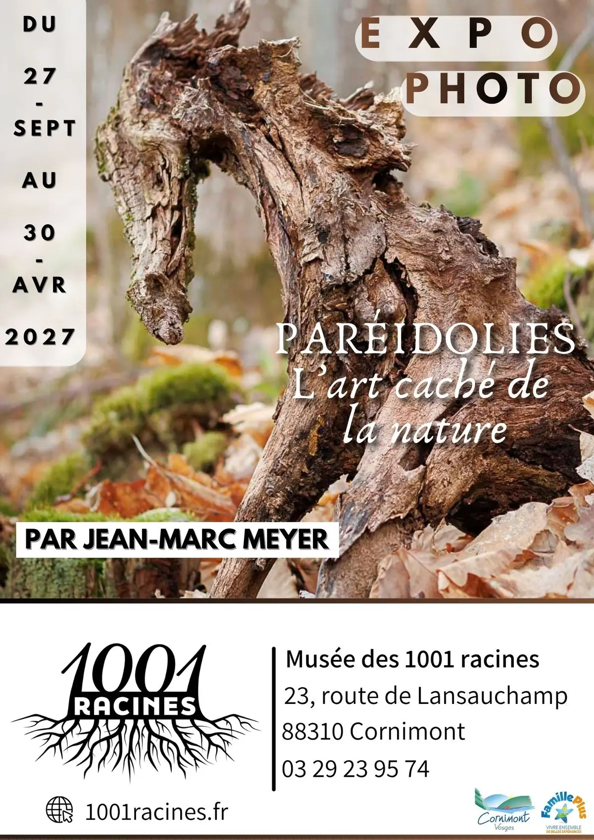 Exposition Paréidolies, l'art caché de la nature