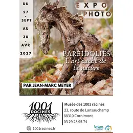 Exposition Paréidolies, l'art caché de la nature