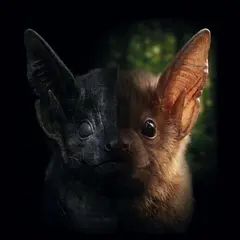 Conférence Superstitions dans le monde animal