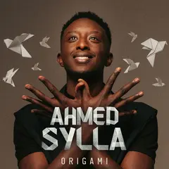Ahmed Sylla - Origami