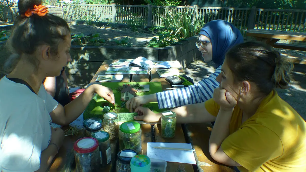 Apprendre à faire du plessage et du broyat grâce aux restes de taille !