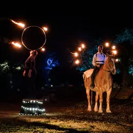 Spectacle equestre féérique