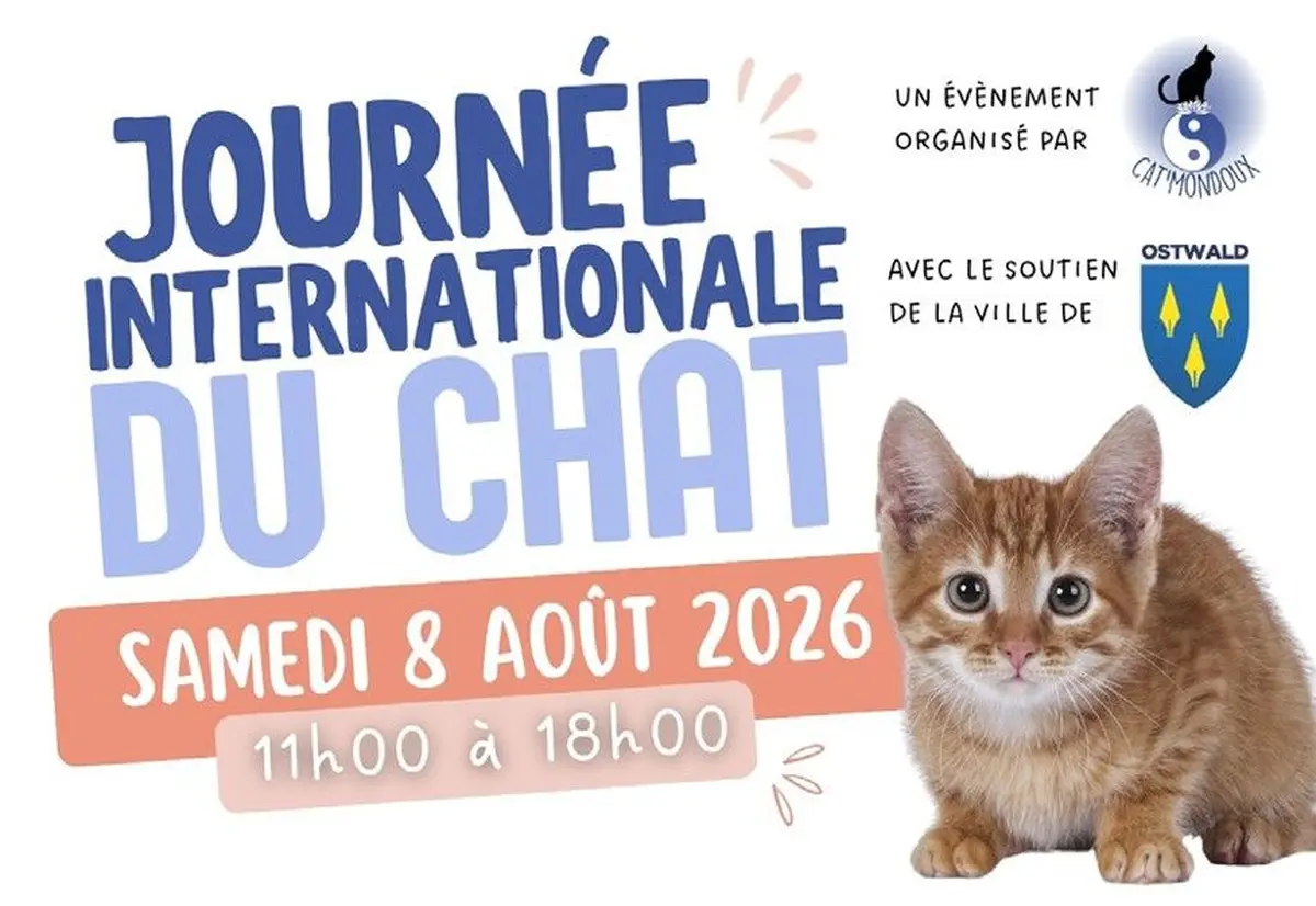 Journée internationale du chat