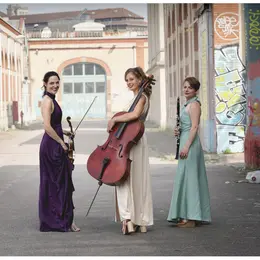 Concerts du Trio Hyades