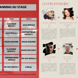 Stage de danse pluridisciplinaire