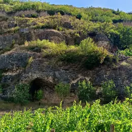Parcours géologique à la découverte de Turckheim