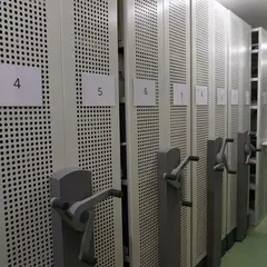 Découvrez les trésors cachés des archives de Remiremont