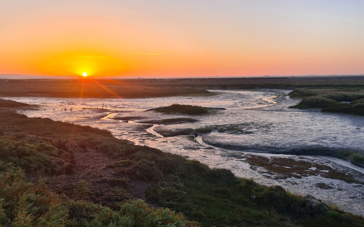 Dans la jungle des aires protégées : Comment s’y retrouver ?
