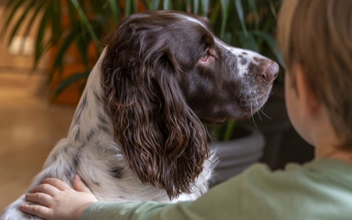 Dans la peau d'un chien