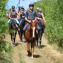 Dans la peau d'un jockey