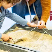 Dans La Peau D’un Paléontologue