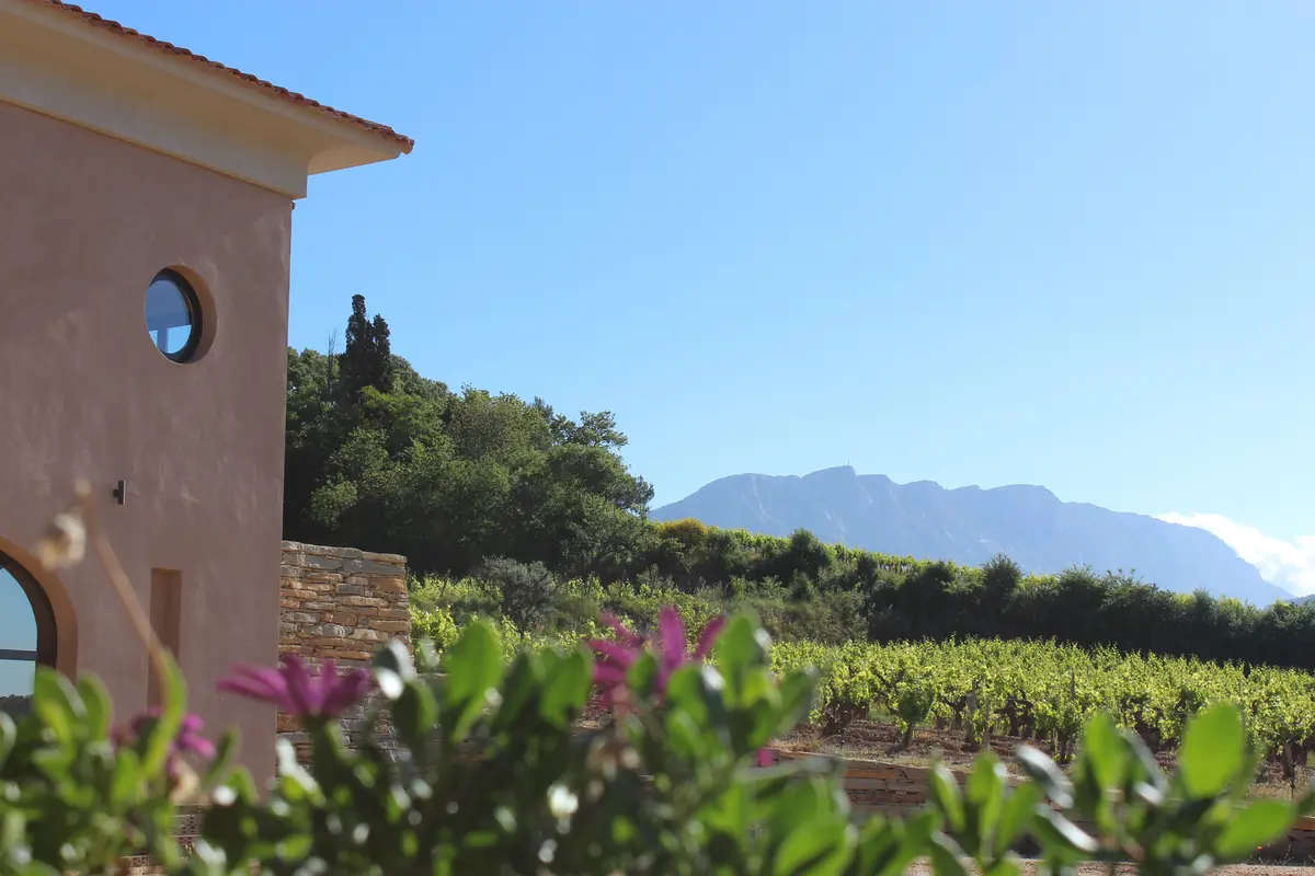 Dans la peau d’un vigneron : faire face aux aléas climatiques, au Château Henri Bonnaud