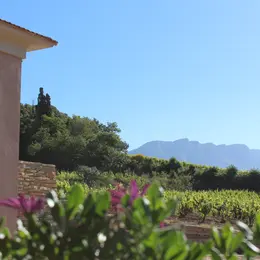 Dans la peau d’un vigneron : faire face aux aléas climatiques, au Château Henri Bonnaud