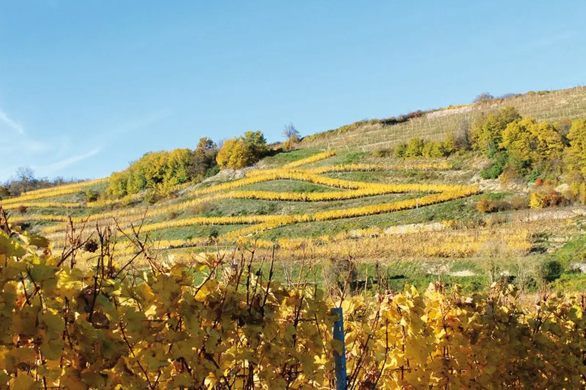 Dans la vallée noble 
