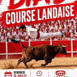 Dans le cadre des fêtes locales : Course landaise