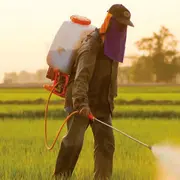 5 endroits où planquer vos Œufs de Pâques 