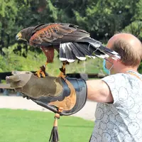 Envoile-toi, petit oiseau ! &copy; M.O.
