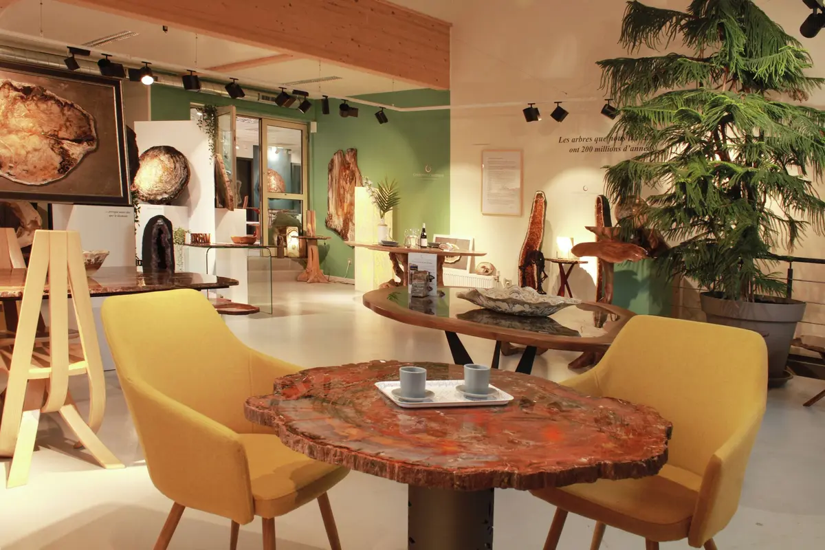 Visitez l'atelier de bois fossilisé de Spechbach-le-Bas en juin