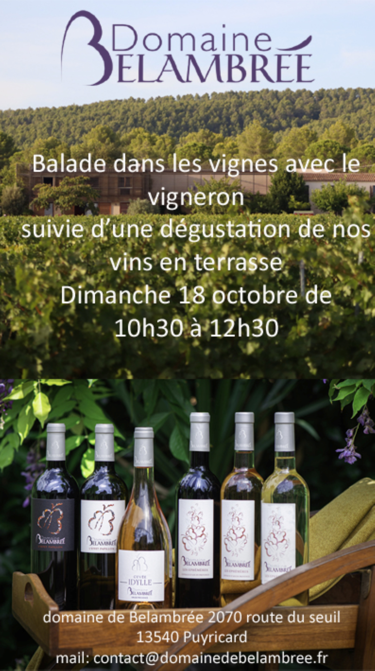 Dans les pas du vigneron au Domaine de Belambrée