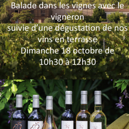 Dans les pas du vigneron au Domaine de Belambrée