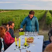 Dans les vignes au crépuscule