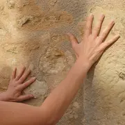 Dans Tous Les Sens De L'Architecture