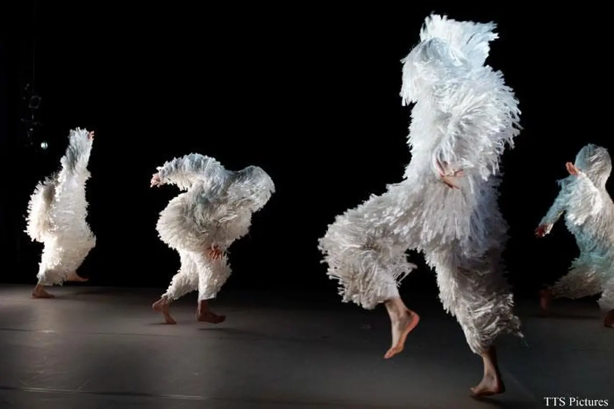 Danse - A4 (comme la feuille)