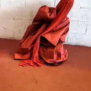 Danse  : le temps des Roses