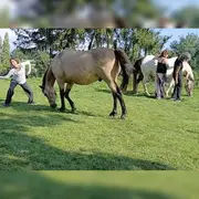 Danse libre avec et sans Cheval