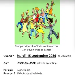 Danses folks collectives