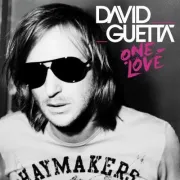 Foire aux Vins de Colmar le samedi 11 août 2012 : David Guetta