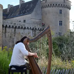 Christophe GUILLEMOT harpeur luthier