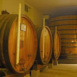 Fernet-Branca, les secrets des caves