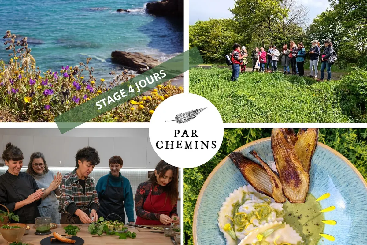 Stage long Gastronomie des plantes sauvage en Bretagne