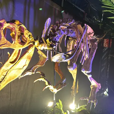Le Monde des Dinosaures à Saint Brieuc