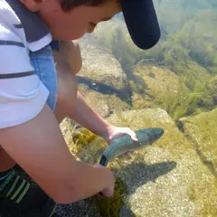 Vert Pêche 