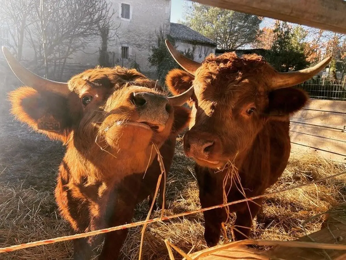 De ferme en ferme 2026 - La Petite Ferme Pédagogique