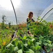 De Ferme en Ferme : Damiselà