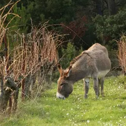 De Ferme En Ferme - Domaine La Rune