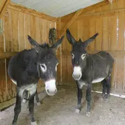 De ferme en ferme : Ferme Borda d'Arsaut