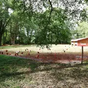 De ferme en ferme : Ferme des Luys