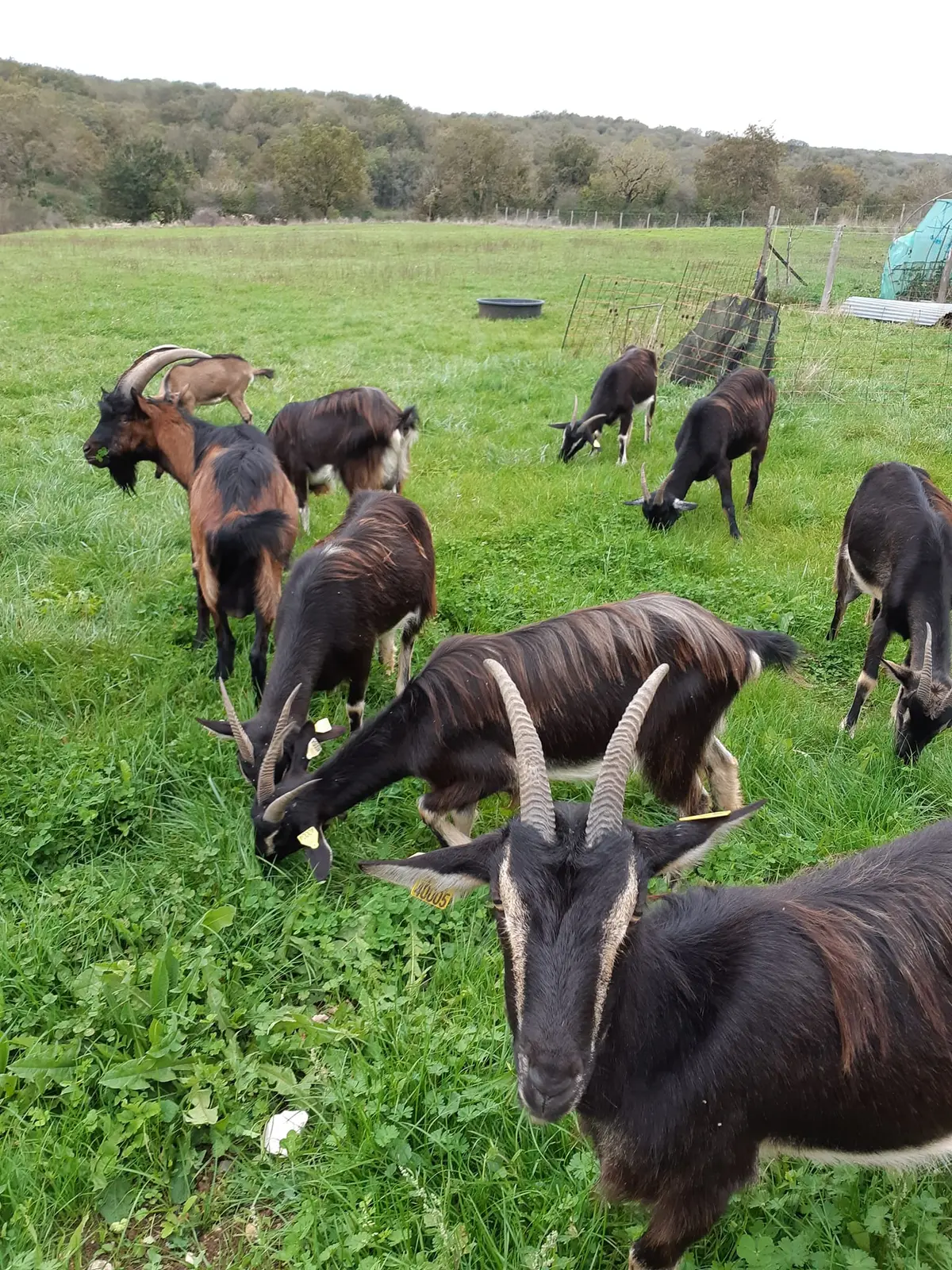De ferme en ferme, Ferme du Lac des Termes à Issendolus