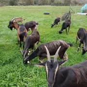 De ferme en ferme, Ferme du Lac des Termes à Issendolus