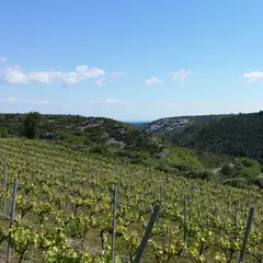 De Ferme En Ferme - Narbonnais, Corbieres-Minervois