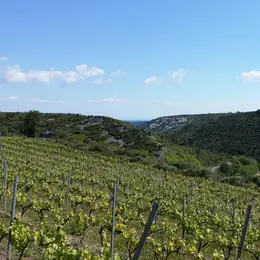 De Ferme En Ferme - Narbonnais, Corbieres-Minervois